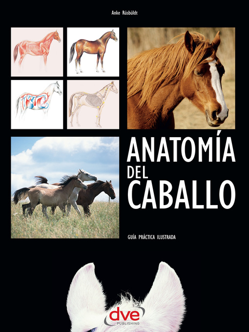 Title details for Anatomía del caballo by Anke Rüsbüldt - Available